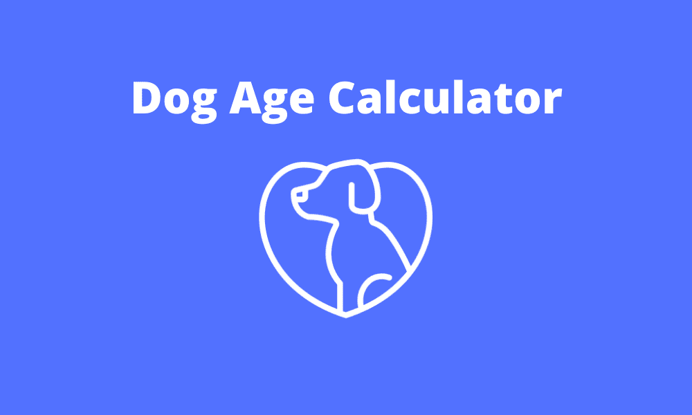 Dog Age Calculator